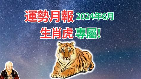 屬虎今年運勢|生肖虎：屬虎2024年運勢及運程，2024年屬虎人的全年每月運勢。